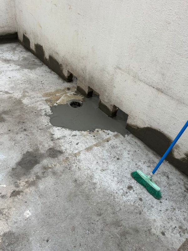 WhatsApp Image 2025-03-04 at 11.30.19